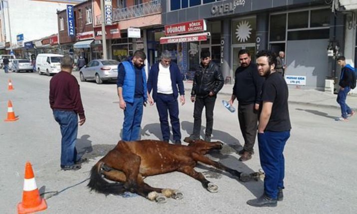 Aşırı Yük Çekerken Yol Ortasına Yığılıp Kalan Ata Esnaf Sahip Çıktı